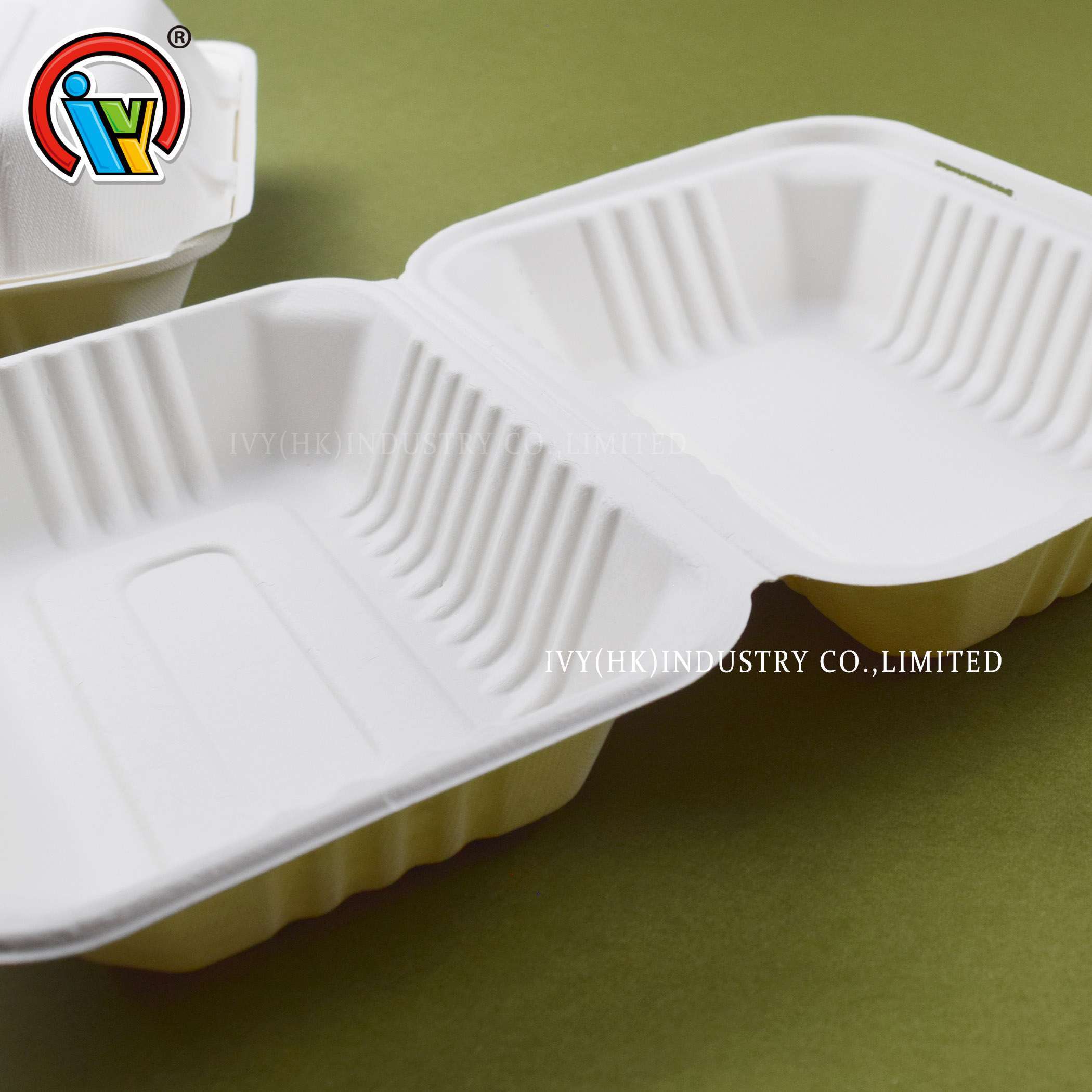 bán buôn hộp đựng hộp ăn trưa thân thiện với môi trường