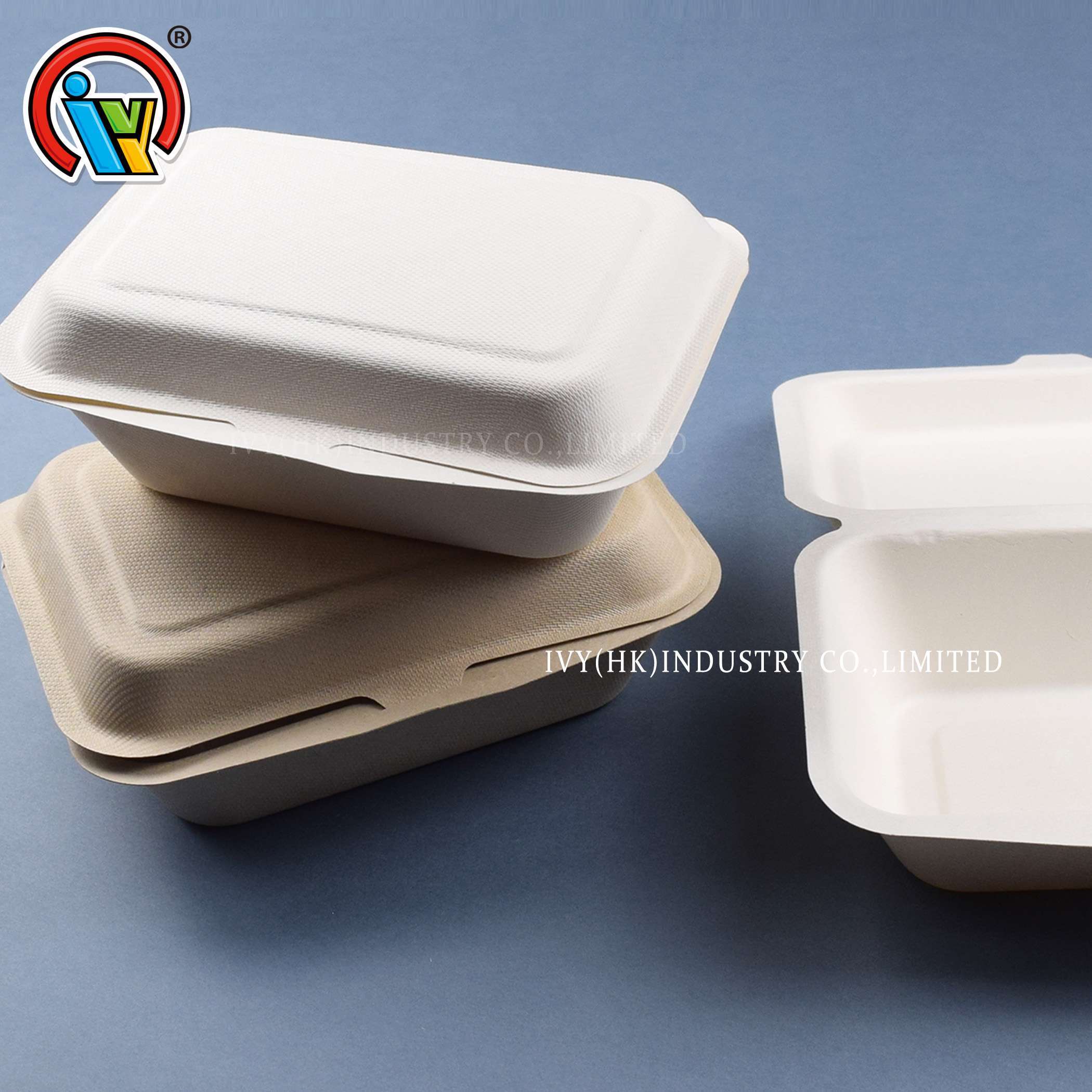 bán buôn hộp cơm trưa mang đi thân thiện với môi trường có thể phân hủy sinh học