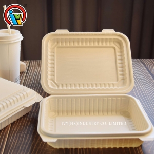 hộp cơm trưa có nắp đậy một ngăn có thể phân hủy sinh học
