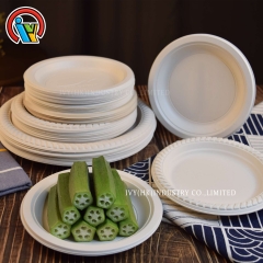 biodegradable plates manufacturers