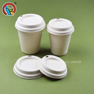 Tách cà phê phân hủy sinh học có nắp đậy
