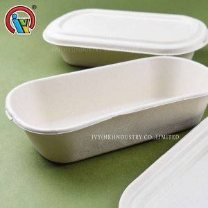 Hộp cơm phân hủy sinh học thân thiện với môi trường