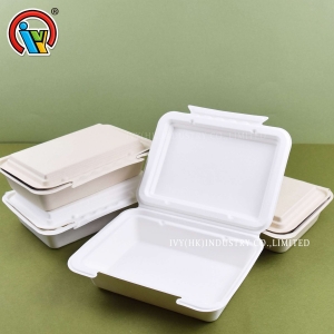 Hộp ăn trưa dùng một lần có thể phân hủy sinh học
