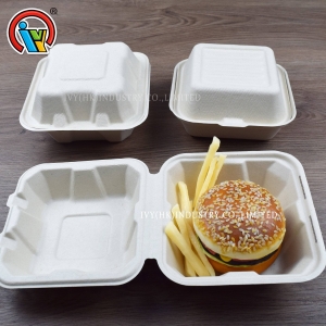 Hộp bánh mì kẹp thịt phân hủy sinh học thân thiện với môi trường
